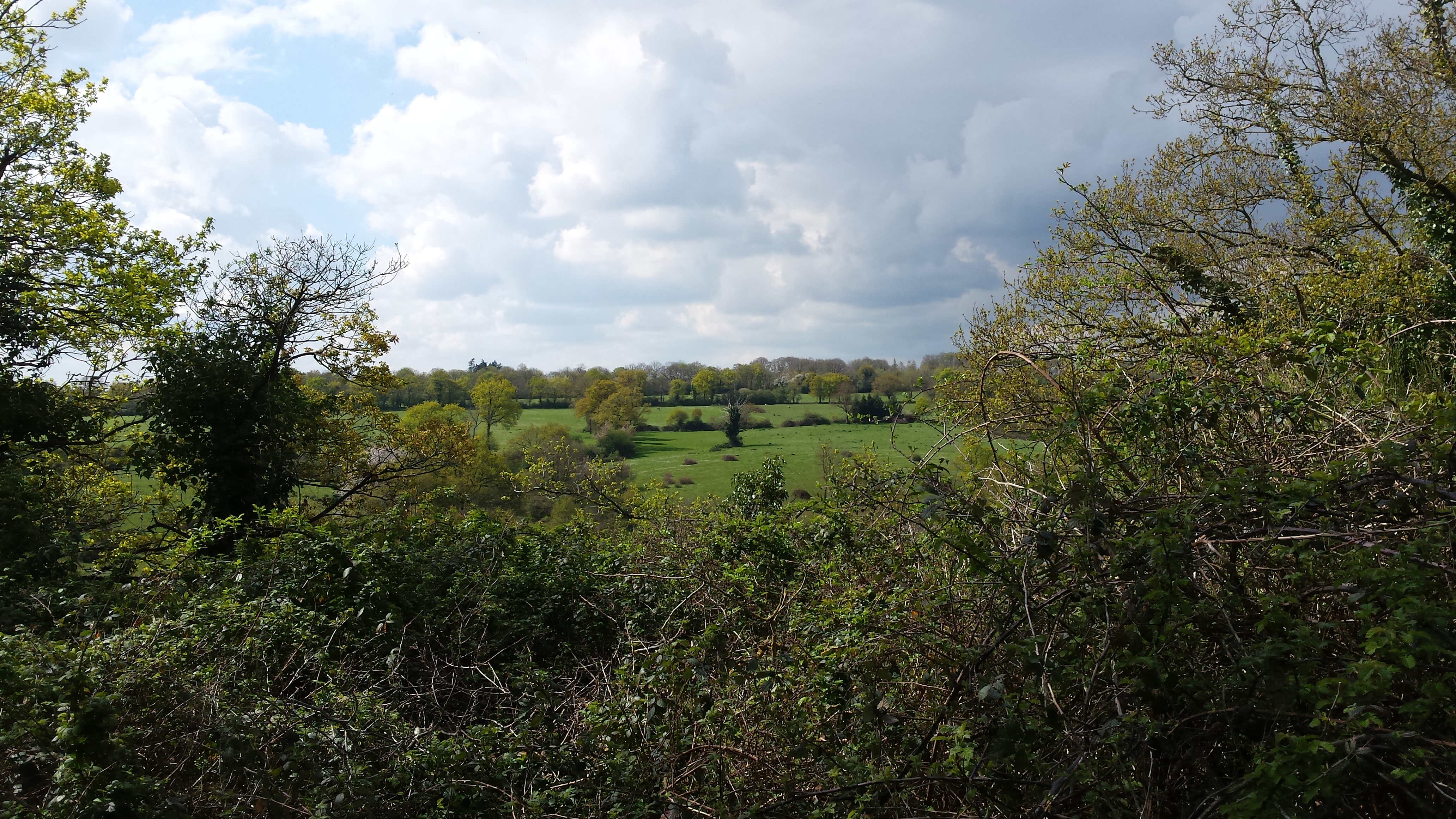 Campagne verdoyante