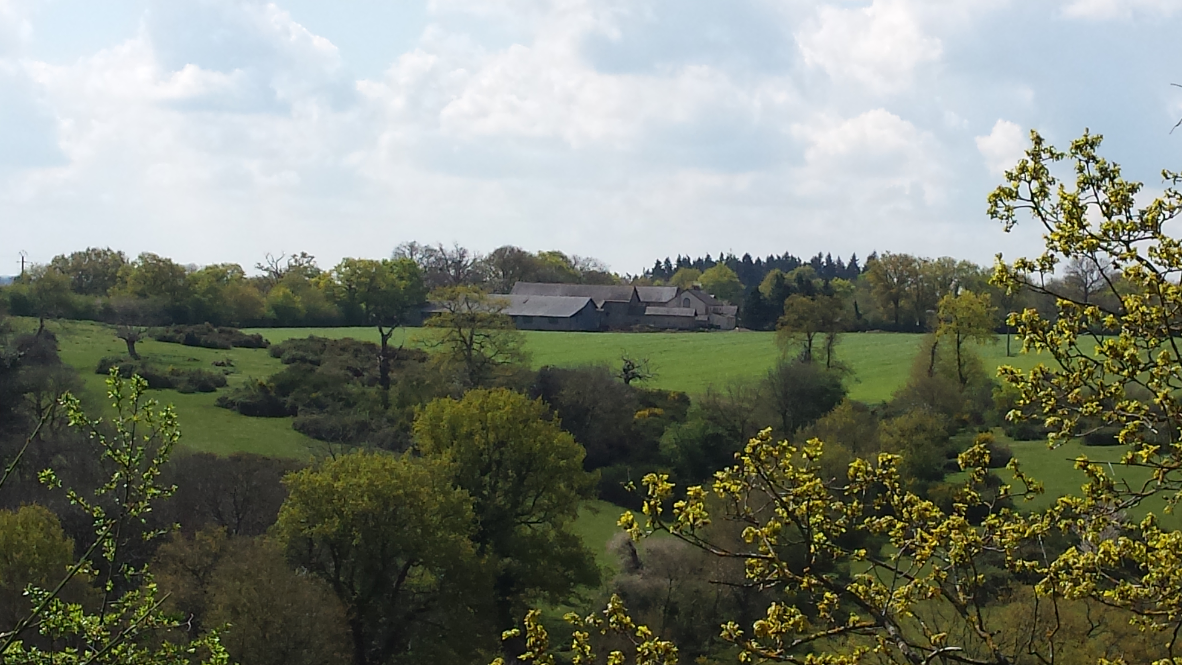 Campagne verdoyante, une ferme